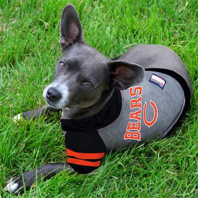 NFL Chicago Bears Hoody Dog Tee