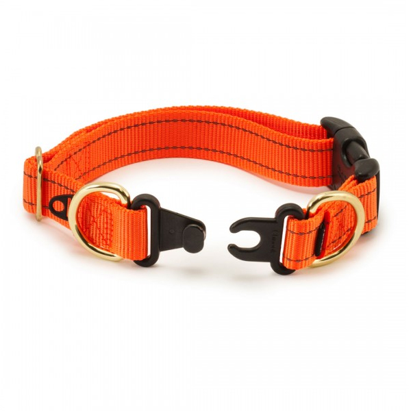 keepsafe breakaway collar