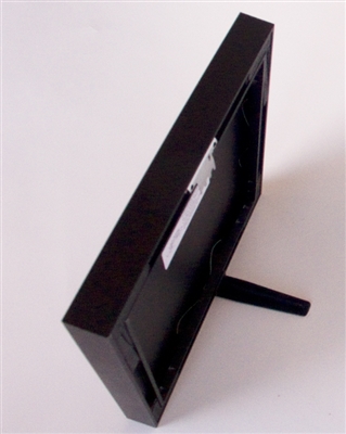 Framed Print: Siberian Cat