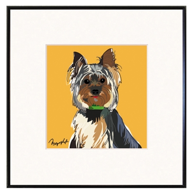 Framed Print: Yorkshire Terrier