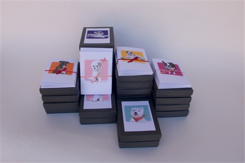 Boxer - Grrreen Boxed Notes