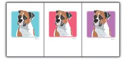 Extra Product Image