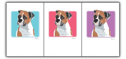 Boxer - Grrreen Boxed Notes