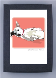 Extra Product Image