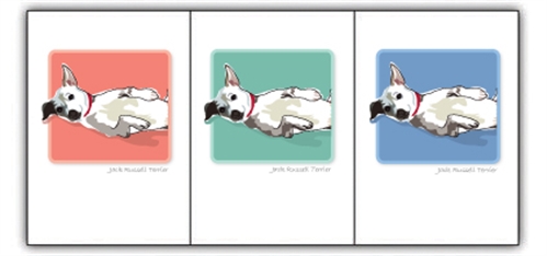 Jack Russell Terrier - Grrreen Boxed Notes