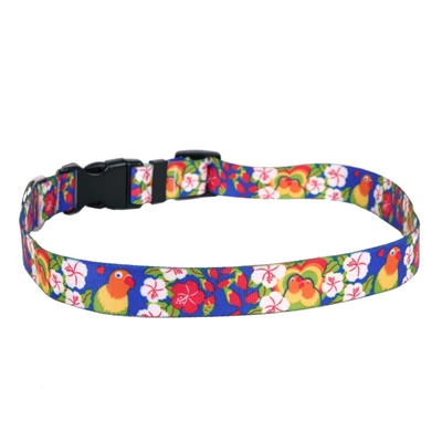 Lovebirds Collection