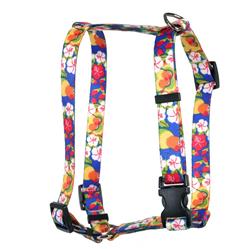 Extra Product Image