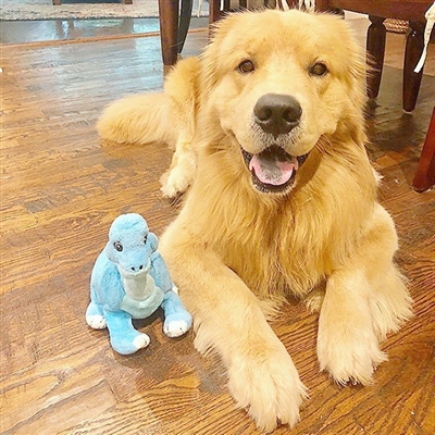 Tender-Tuffs Dino - Baby Blue Dino