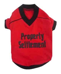 Property Settlement