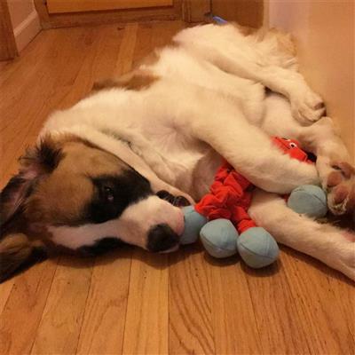 Tender-Tuffs Tug - Stretchy Orange Octopus