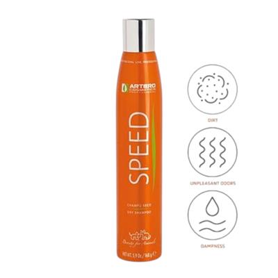 SPEED Dry Shampoo by Artero