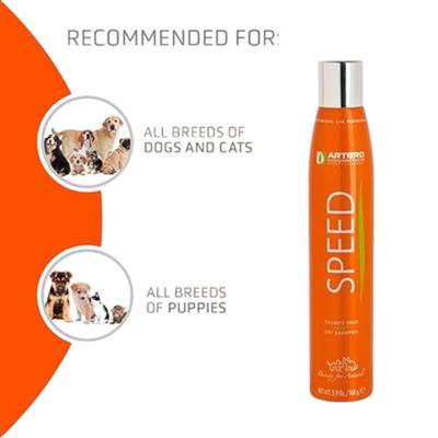 SPEED Dry Shampoo by Artero