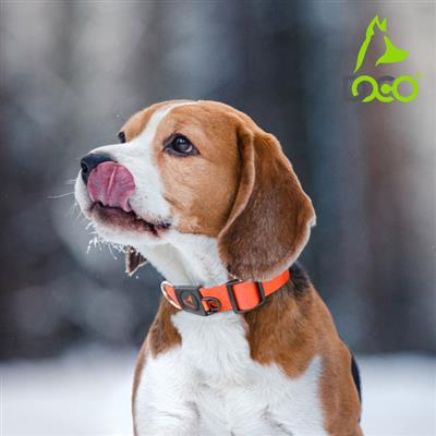 DOCO® Signature Nylon Collar