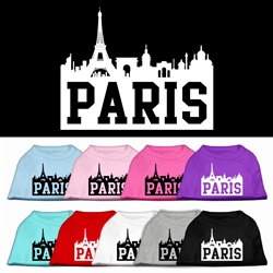 Paris Skyline Screen Print Shirt