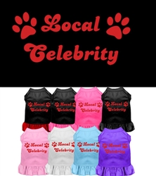 Local Celebrity Screen Print Dress