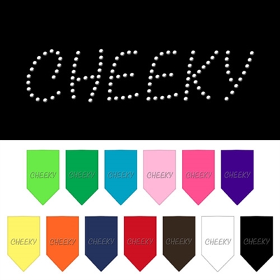 Cheeky Rhinestone Bandana