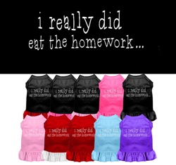 I really did eat the Homework Screen Print Dress