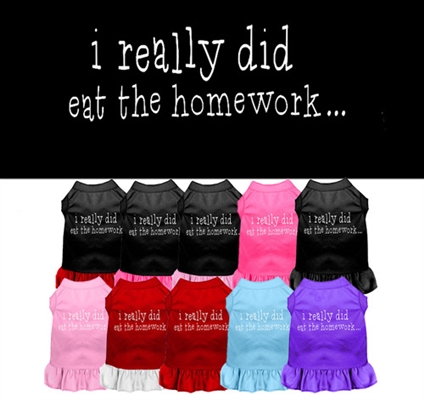 I really did eat the Homework Screen Print Dress