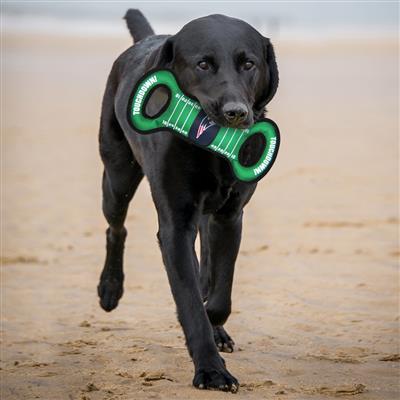 NFL New England Patriots Field Tug Toy