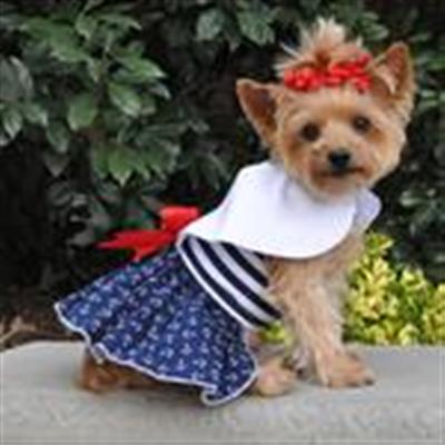 Nautical Dress Dress with Matching Leash & D-Ring