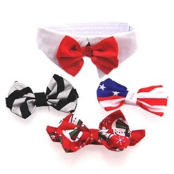 White Collar and Bow Tie with 4 Interchangeable Bows