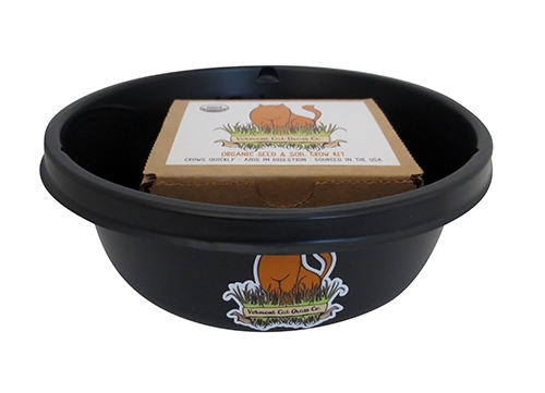 Vermont Cat Grass 8" Grow Kit