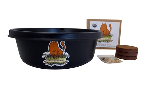 Vermont Cat Grass 8" Grow Kit
