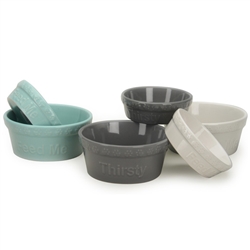 Gray "Thirsty" Embossed Pet Bowls