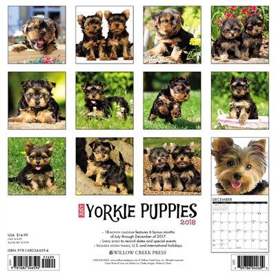 2018 Just Yorkie Puppies Wall Calendar