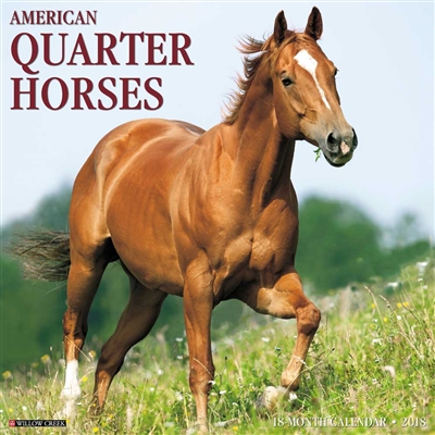 2018 American Quarter Horses Wall Calendar