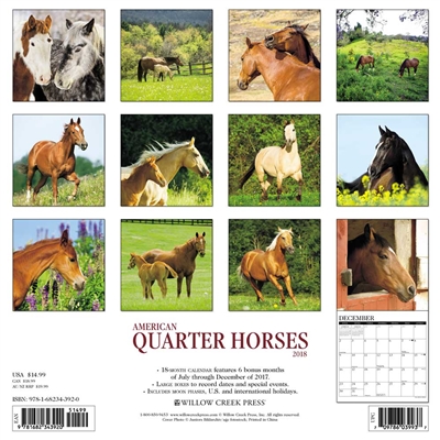 2018 American Quarter Horses Wall Calendar