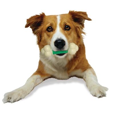 Nylabone Power Chew Double Action Durable Dog Toy Bacon, Medium/Wolf  Up To 35 Lbs. 1 ct.