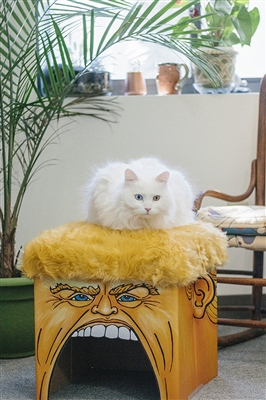 Fuzzu Presidential Parody Donald Trump Playhouse Cathouse
