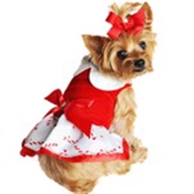 Christmas Candy Cane Rhinestone Dress with D-Ring and Leash