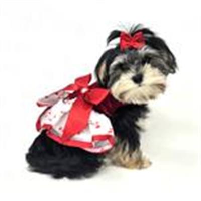 Christmas Candy Cane Rhinestone Dress with D-Ring and Leash
