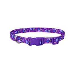 Special Paw - Attire Styles Nylon Collars & Leads