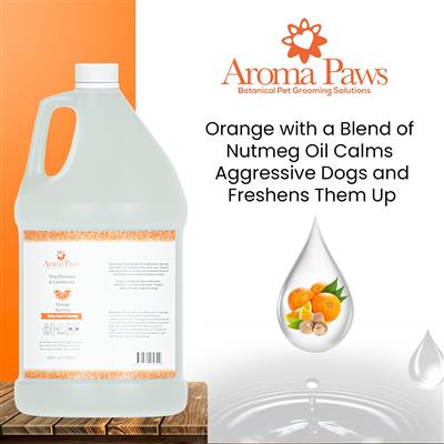 Gallon Shampoo Orange Nutmeg Vetiver- CASE OF 4
