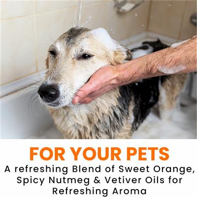 Gallon Shampoo Orange Nutmeg Vetiver- CASE OF 4