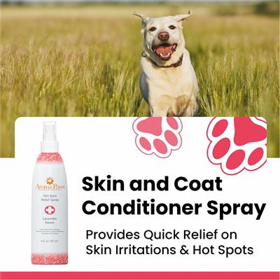 Hot Spot Relief Spray (4.5 oz)- CASE OF 12