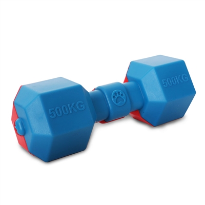 Dumbbell Floating Chew And Fetch Dog Toy