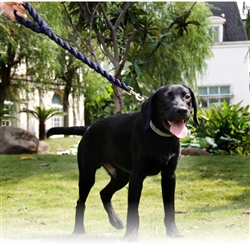 Tough-Tugger Industrial-Strength Shock Absorpting Woven Dog Leash