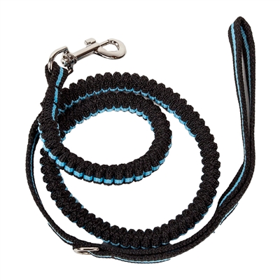 Shock Absorpting Stitched Durable Dog Leash
