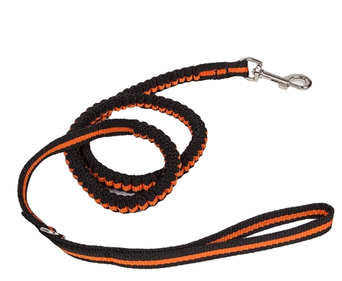 Shock Absorpting Stitched Durable Dog Leash