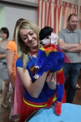 Brown Permanent Pet Hair Dye by Crazy Liberty