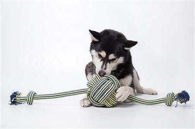 Twisted Chews Monster Braided Knot Ball Rope 36”