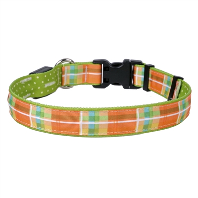 Madras Orange on Old Green Polka Dot ORION LED Dog Collar