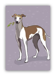 Italian Greyhound - Fridge Magnet