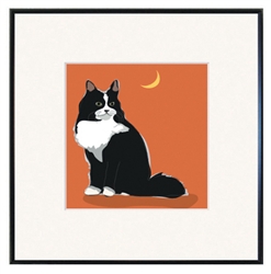 Framed Print: Cat, Tuxedo