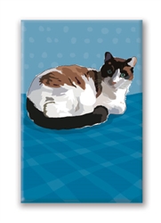 Cat, Calico - Fridge Magnet