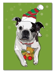 Holiday:  Boston Terrier